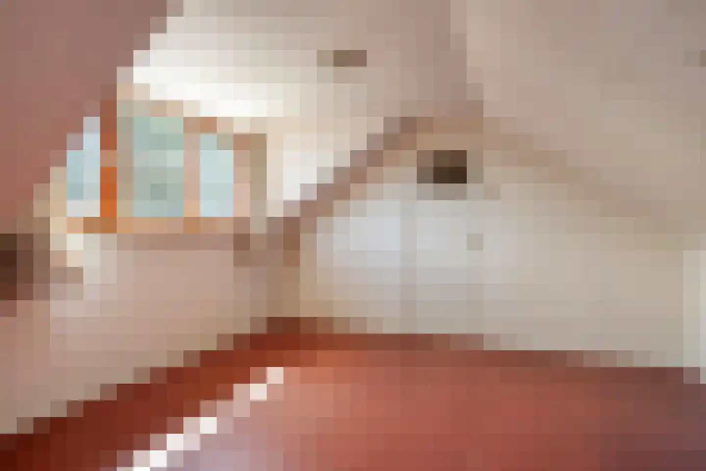 Marsweg 8 Didam thumbnail 36