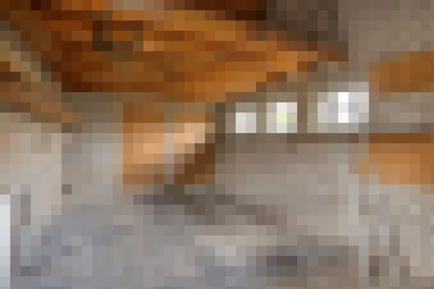 Marsweg 8 Didam thumbnail 38