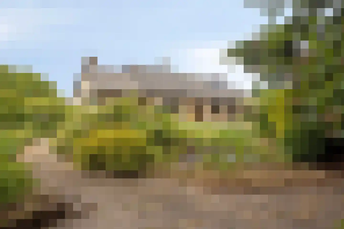 Marsweg 8 Didam thumbnail 4