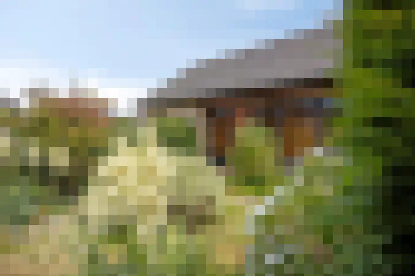 Marsweg 8 Didam thumbnail 8