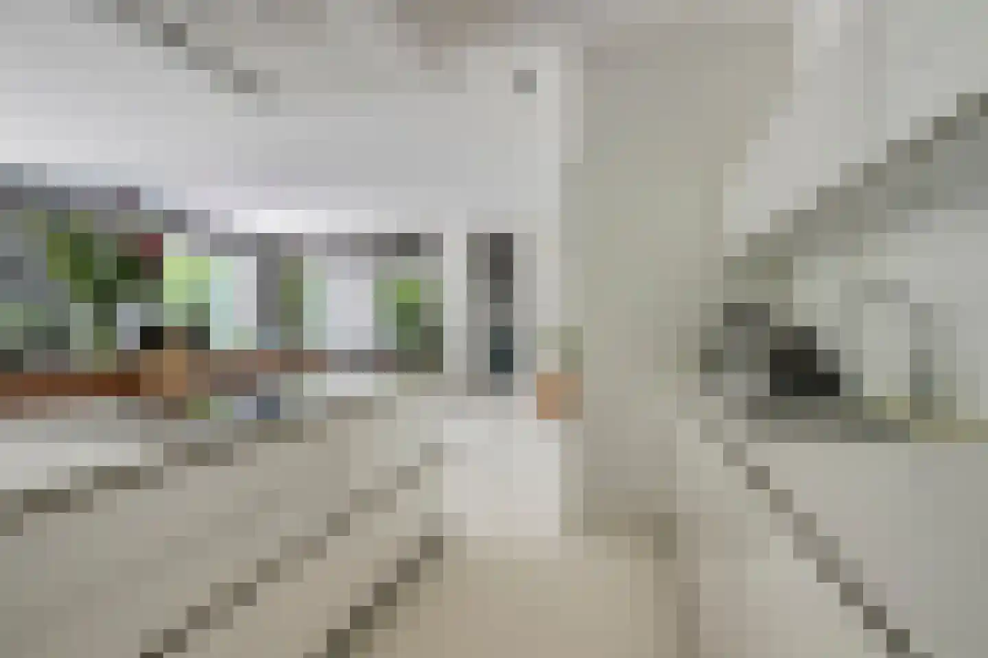 Marszeil 5 Almere thumbnail 20
