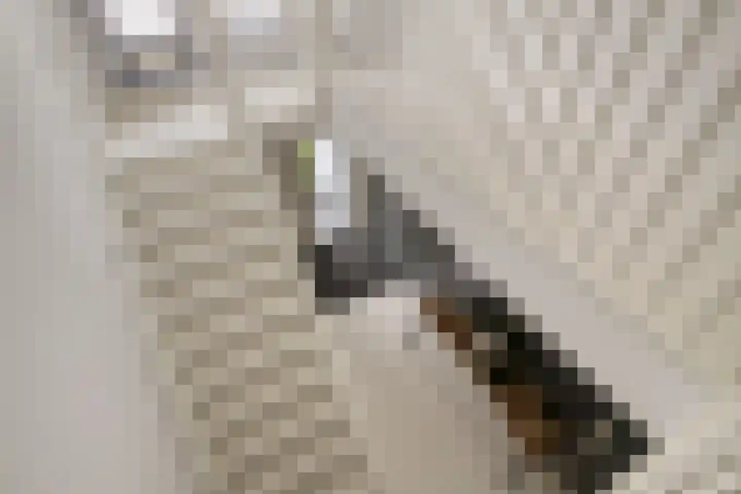 Marszeil 5 Almere thumbnail 46