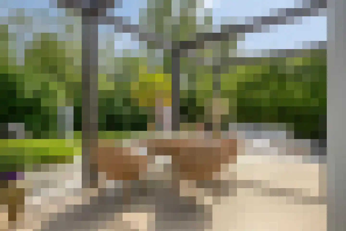 Marszeil 5 Almere thumbnail 51