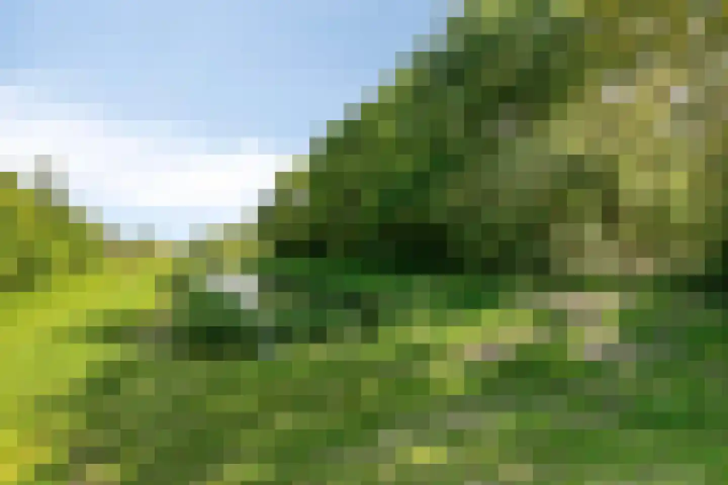 Marszeil 5 Almere thumbnail 62