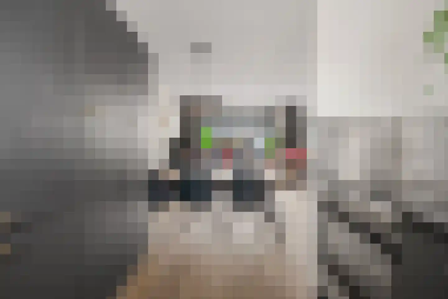 Mart Stamerf 10 Amersfoort thumbnail 14