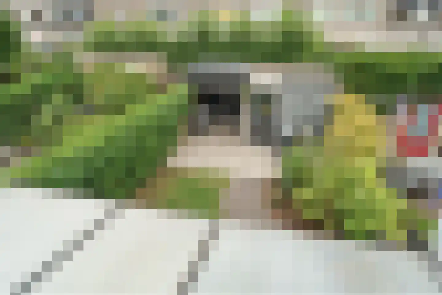 Mart Stamerf 10 Amersfoort thumbnail 17