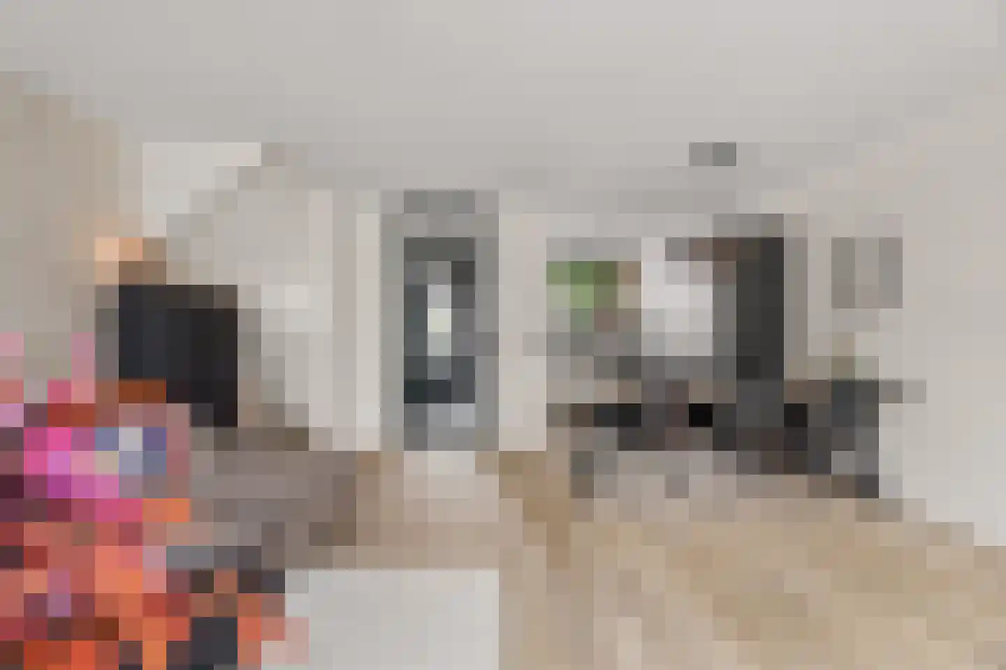 Mart Stamerf 10 Amersfoort thumbnail 8