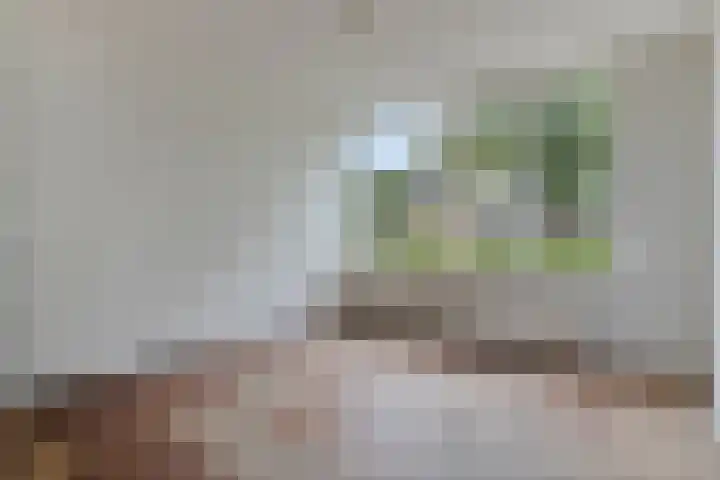 Mart. van Rijswijkplein 5 Andel thumbnail 10