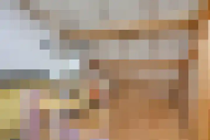 Mart. van Rijswijkplein 5 Andel thumbnail 29