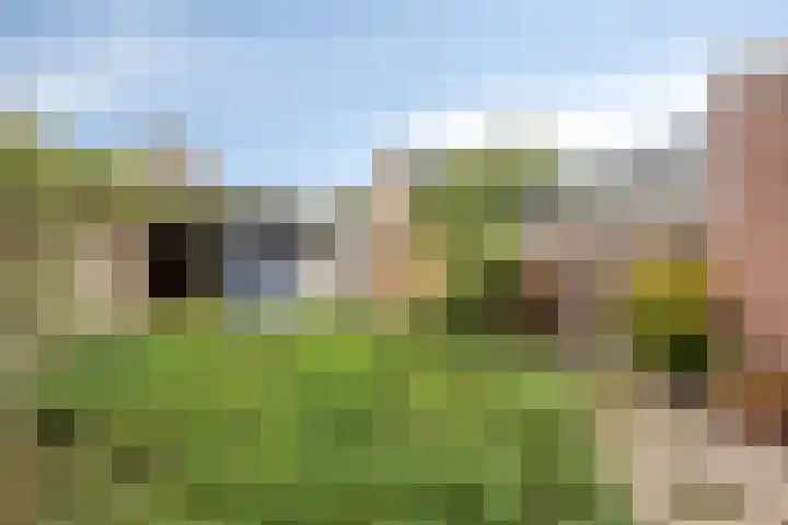 Mart. van Rijswijkplein 5 Andel thumbnail 35