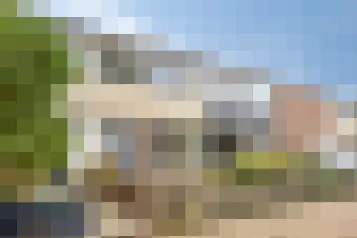 Mart. van Rijswijkplein 5 Andel thumbnail 7