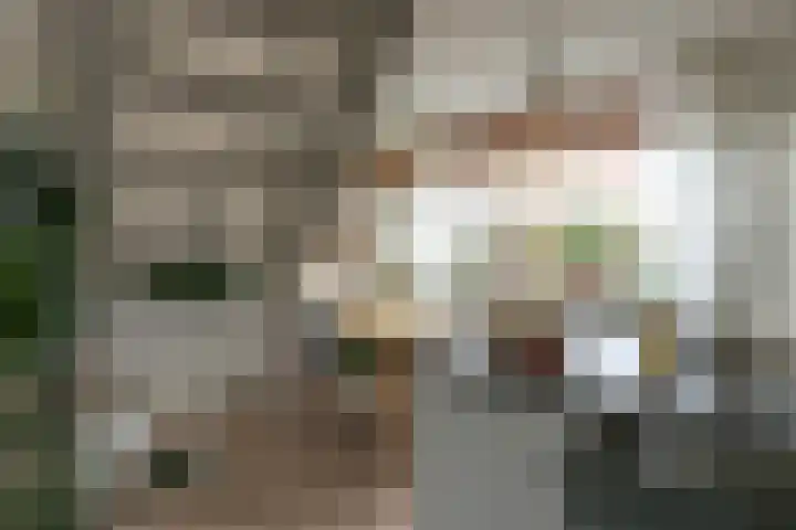 Marten Anemastraat 9 Dongjum thumbnail 10
