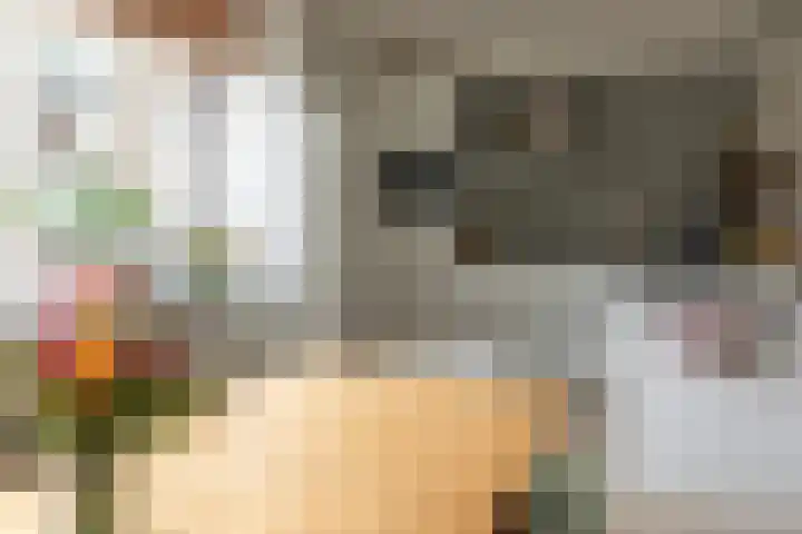 Marten Anemastraat 9 Dongjum thumbnail 12