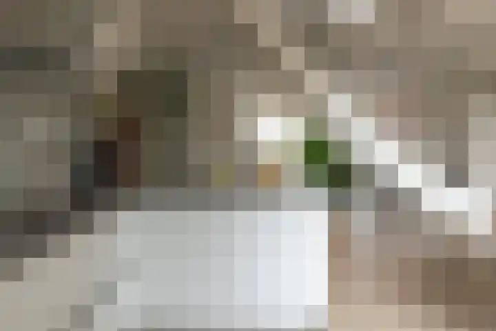 Marten Anemastraat 9 Dongjum thumbnail 13
