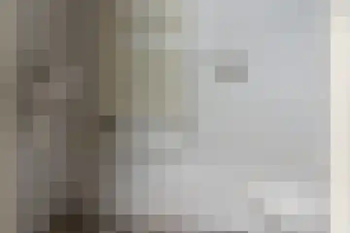 Marten Anemastraat 9 Dongjum thumbnail 16