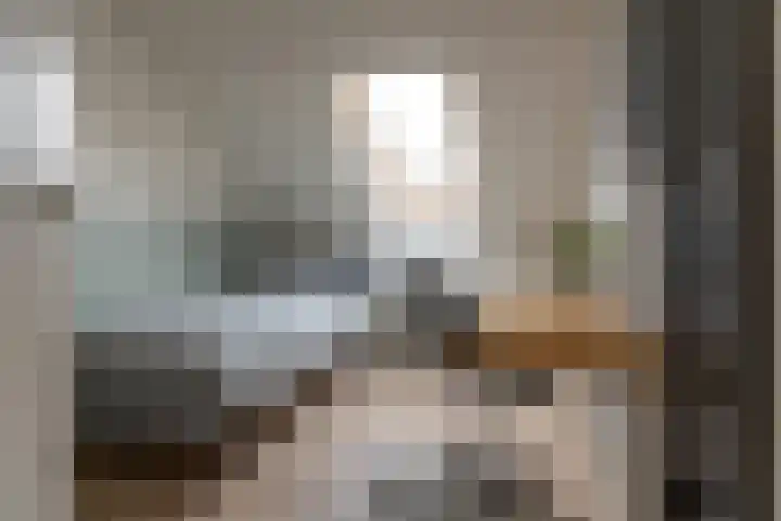 Marten Anemastraat 9 Dongjum thumbnail 20