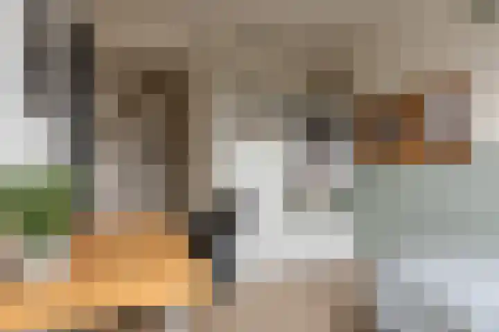 Marten Anemastraat 9 Dongjum thumbnail 21