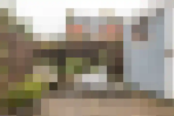 Marten Anemastraat 9 Dongjum thumbnail 29