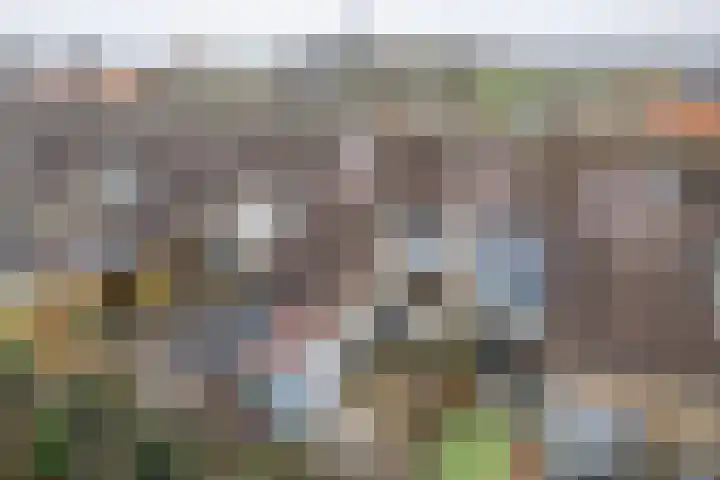 Marten Anemastraat 9 Dongjum thumbnail 31