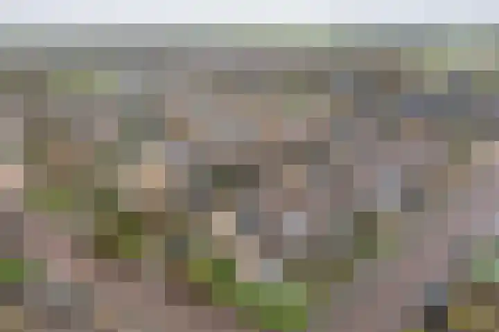 Marten Anemastraat 9 Dongjum thumbnail 33