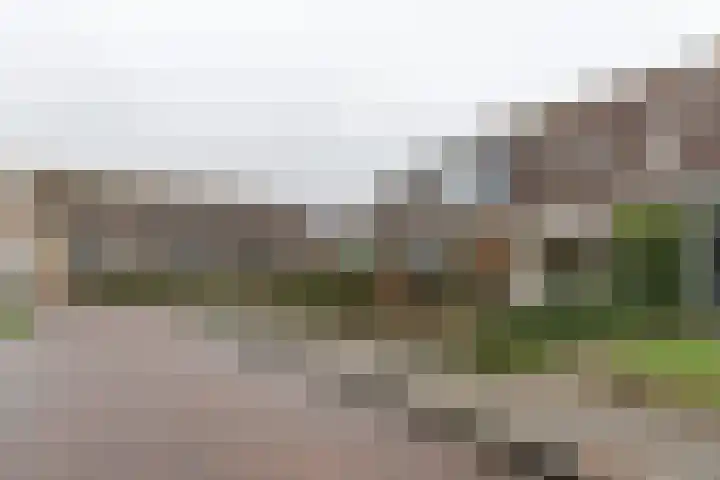 Marten Anemastraat 9 Dongjum thumbnail 35