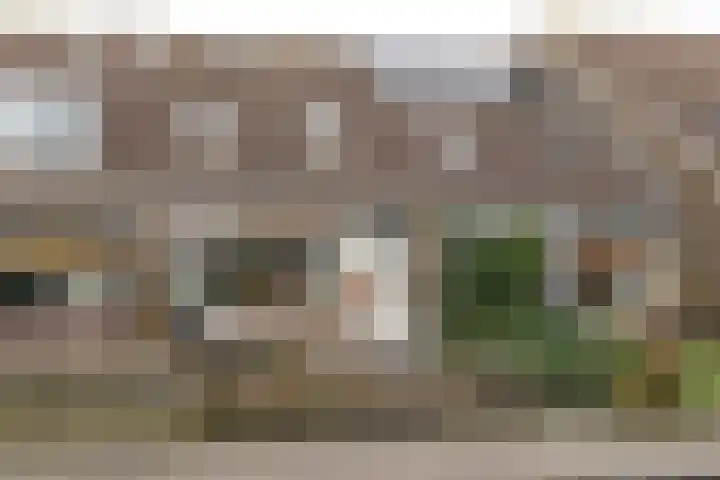 Marten Anemastraat 9 Dongjum thumbnail 36