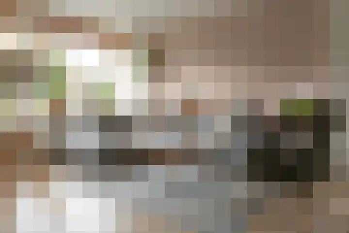 Marten Anemastraat 9 Dongjum thumbnail 4