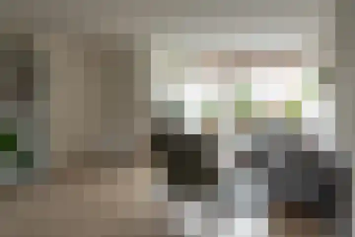 Marten Anemastraat 9 Dongjum thumbnail 5