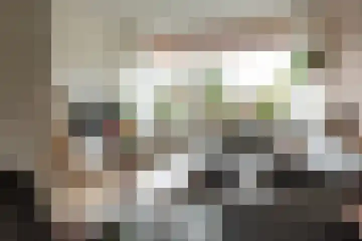 Marten Anemastraat 9 Dongjum thumbnail 6