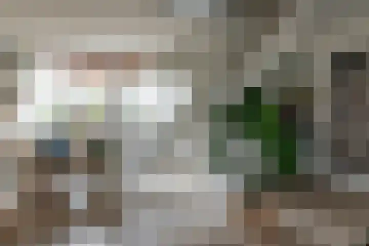 Marten Anemastraat 9 Dongjum thumbnail 8