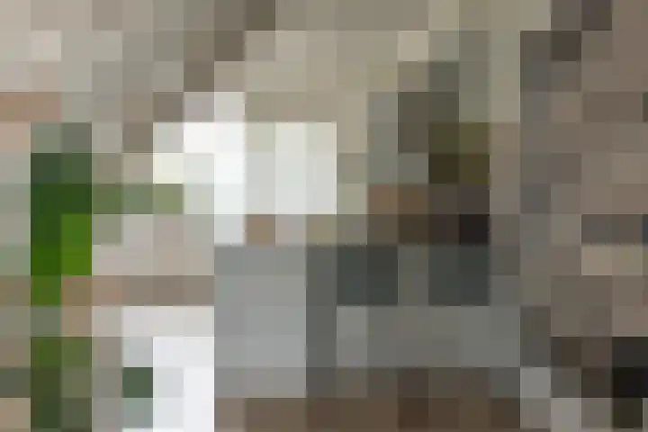 Marten Anemastraat 9 Dongjum thumbnail 9