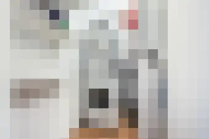 Marten Corverhof 31 Amsterdam thumbnail 33