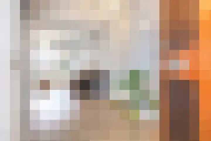 Marten Corverhof 31 Amsterdam thumbnail 8