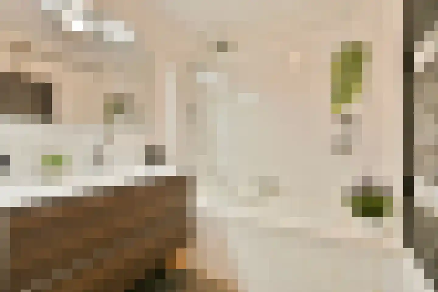 Marten Corverhof 34 Amsterdam thumbnail 13