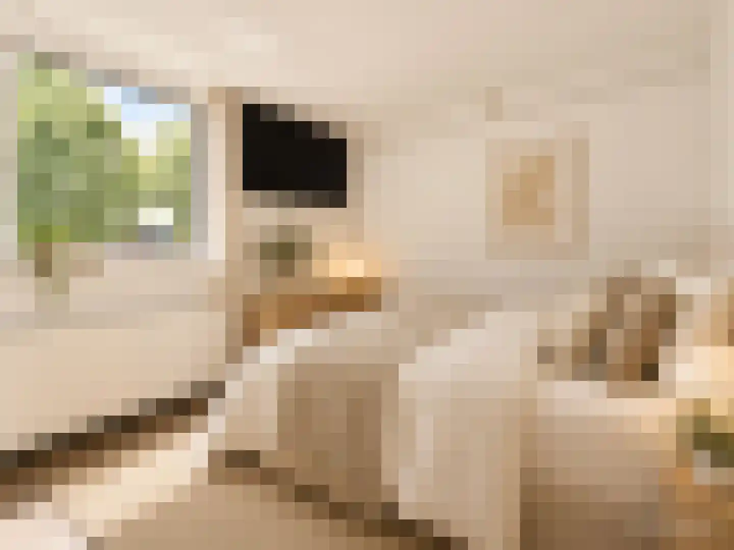 Marten Corverhof 34 Amsterdam thumbnail 16