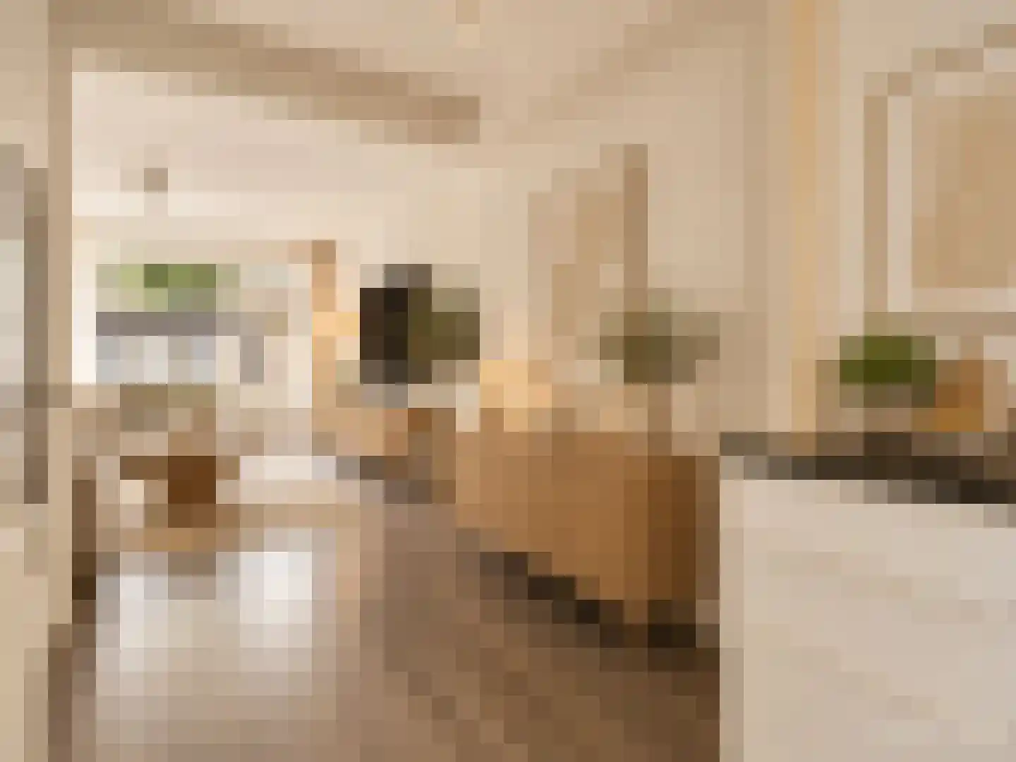 Marten Corverhof 34 Amsterdam thumbnail 8