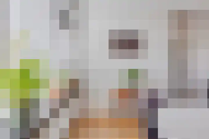 Marten Jansstraat 13 Oudehaske thumbnail 11