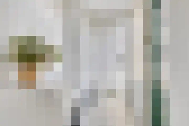 Marten Jansstraat 13 Oudehaske thumbnail 15