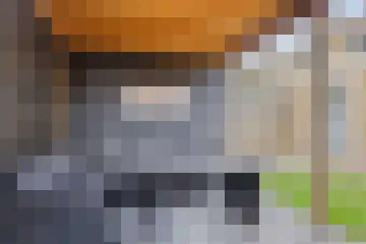 Marten Jansstraat 13 Oudehaske thumbnail 26