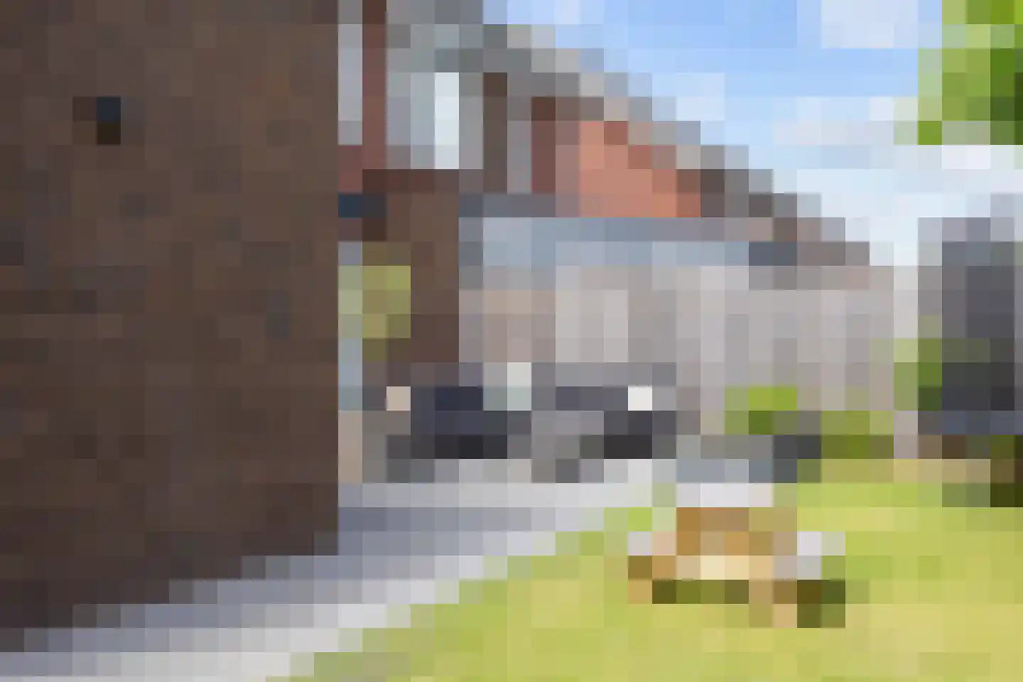 Marten Klompienlaan 18 Veendam thumbnail 44