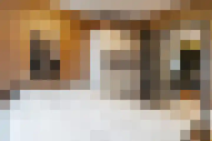 Marten Kuilerweg 2 Elim thumbnail 25