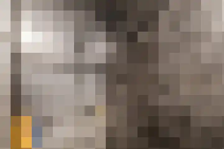 Marten Kuilerweg 2 Elim thumbnail 28