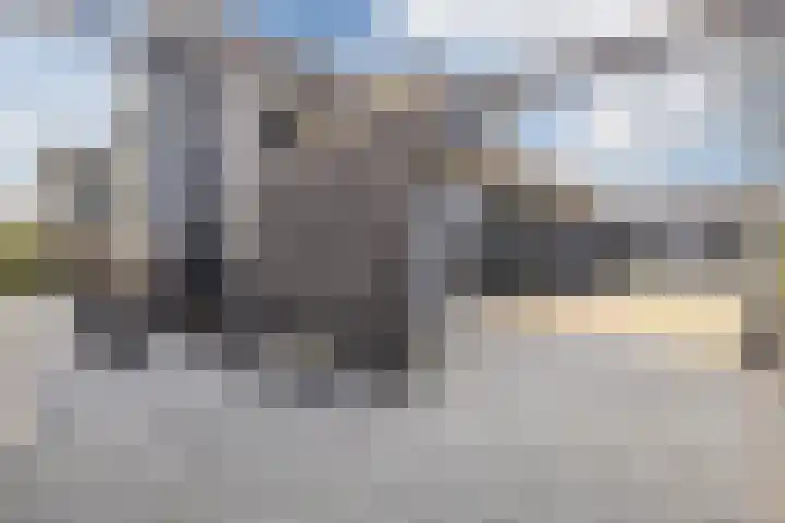 Marten Kuilerweg 2 Elim thumbnail 49
