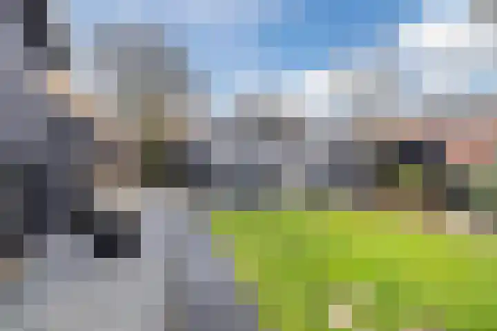 Marten Kuilerweg 2 Elim thumbnail 50