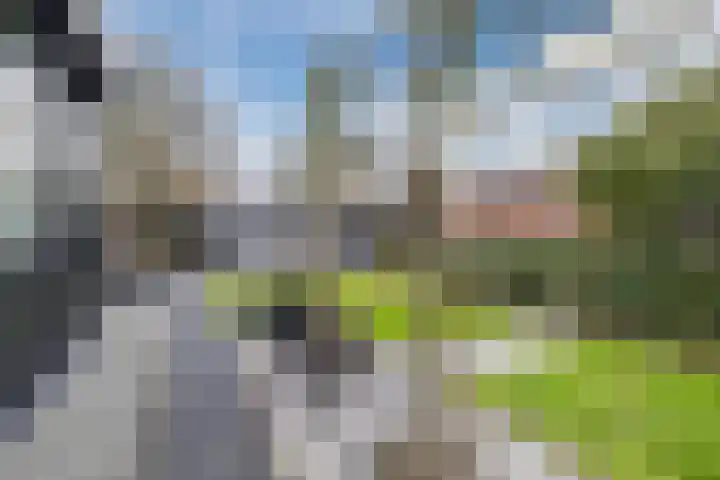 Marten Kuilerweg 2 Elim thumbnail 51