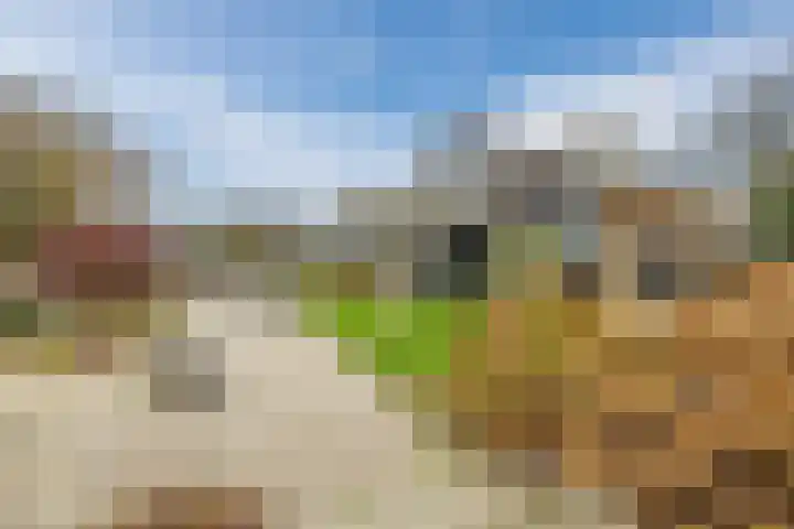 Marten Kuilerweg 2 Elim thumbnail 52