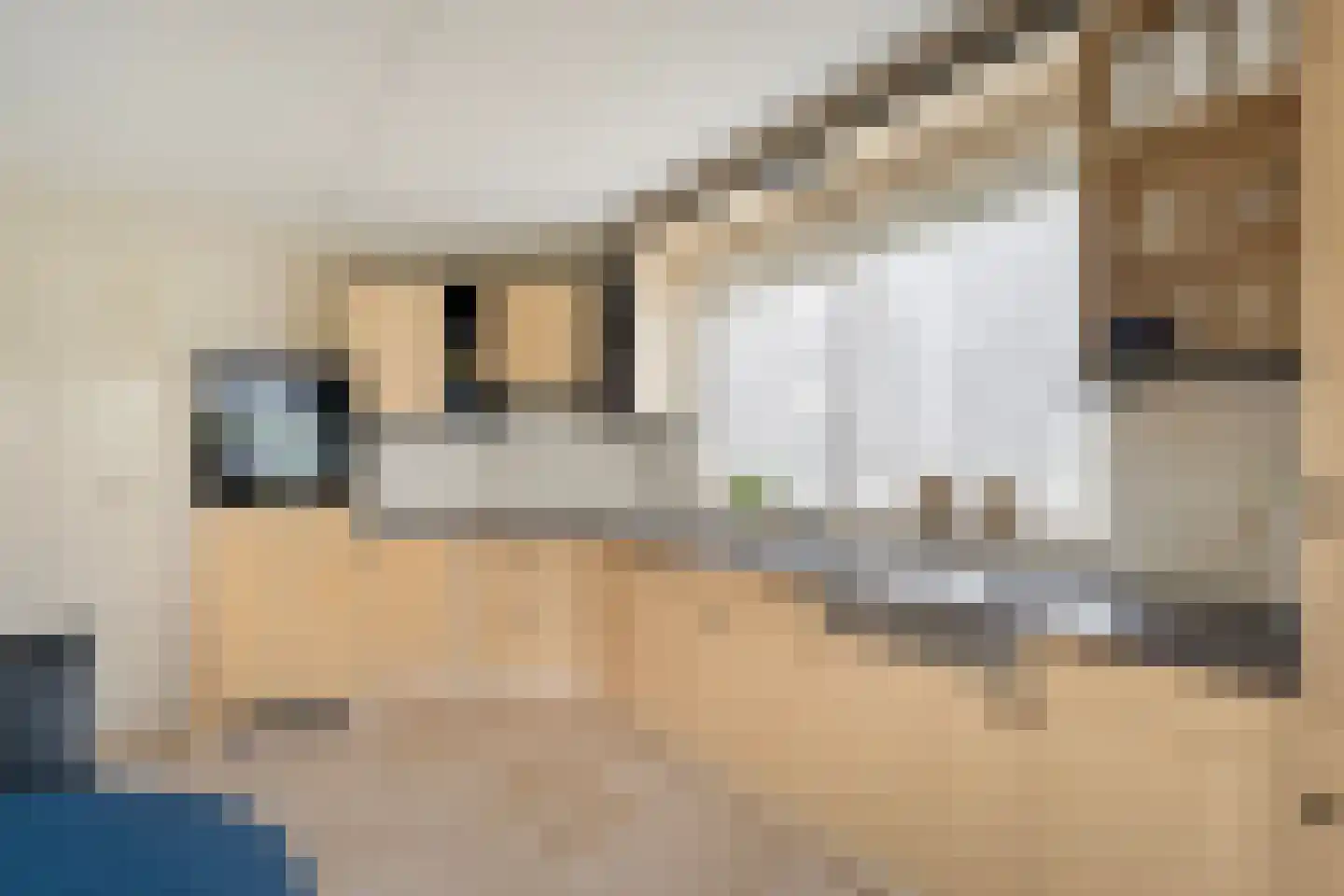 Marten Kuilerweg 6 Elim thumbnail 16