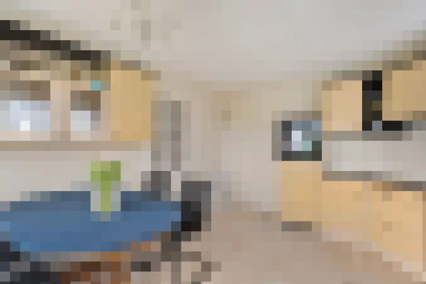 Marten Kuilerweg 6 Elim thumbnail 17