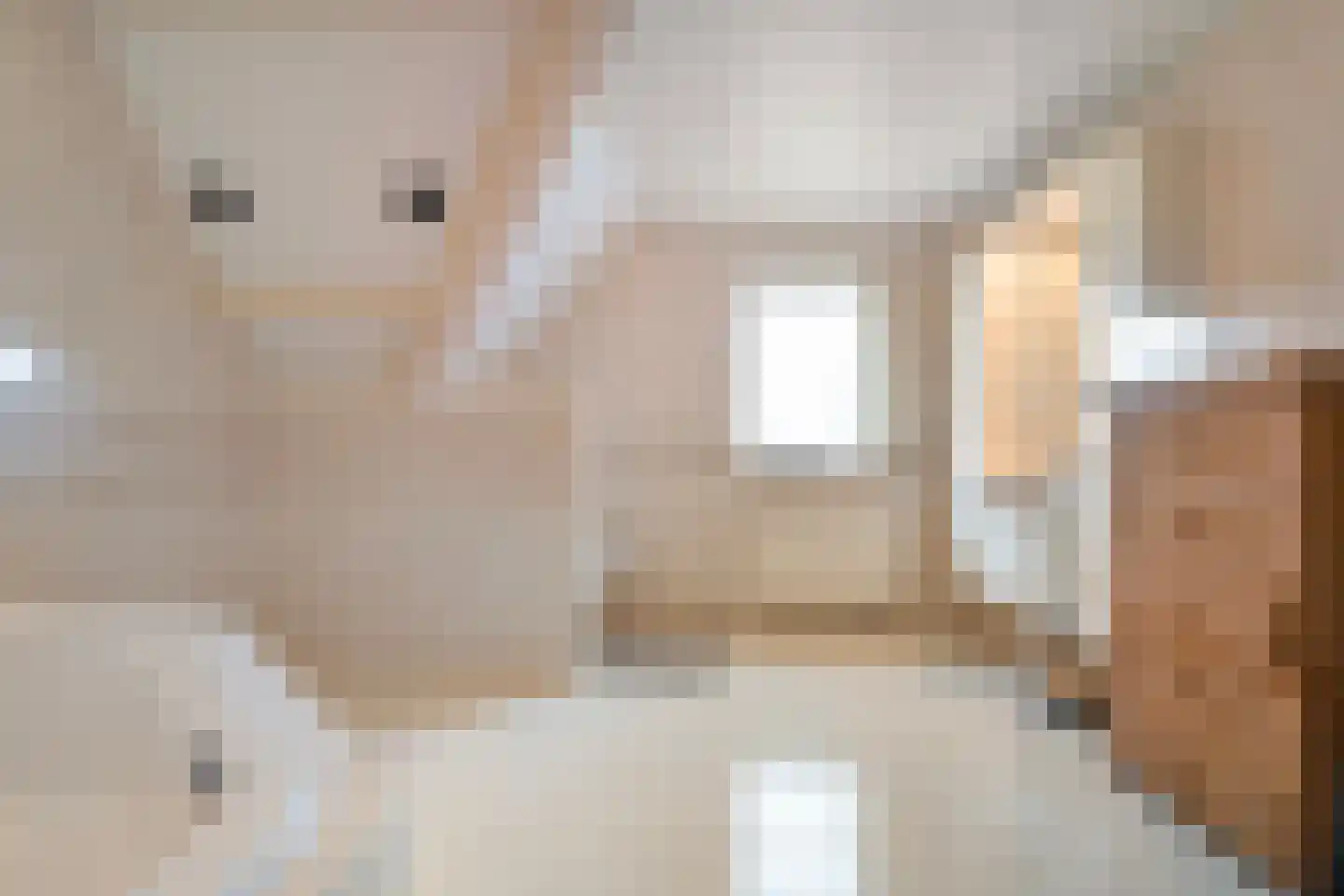 Marten Kuilerweg 6 Elim thumbnail 40