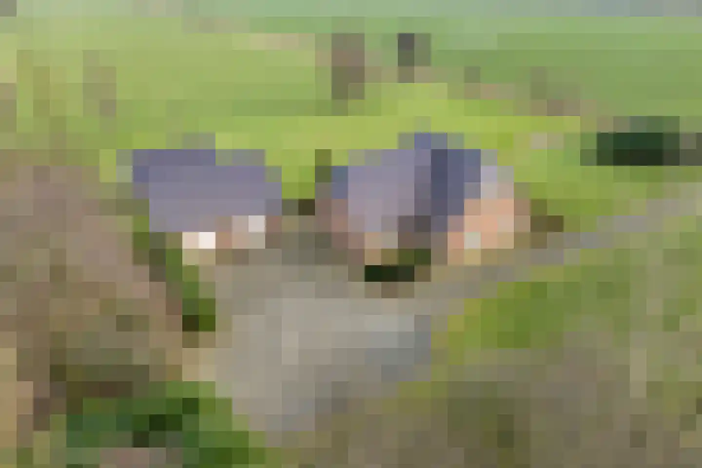Marten Kuilerweg 6 Elim thumbnail 73